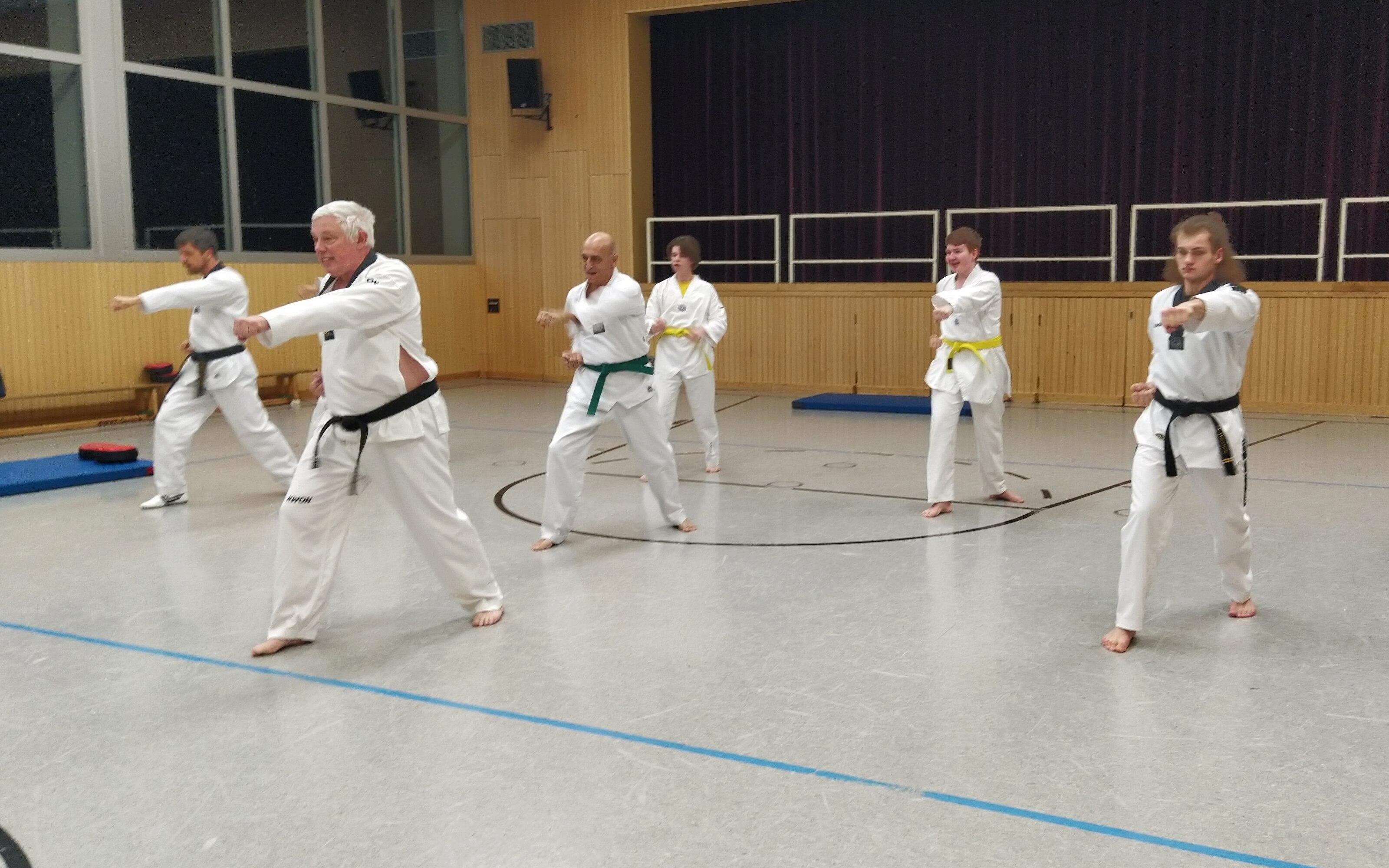 taekwondo_erwachsene_budo-club_binzen.jpg